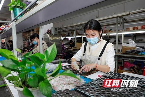 湖南新田 社區 微工廠 靈活促就業 組圖