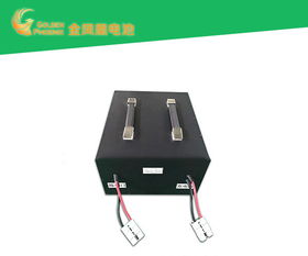 電動(dòng)車電池批發(fā) 好品質(zhì)源于東莞強(qiáng)力 電動(dòng)車電池代理